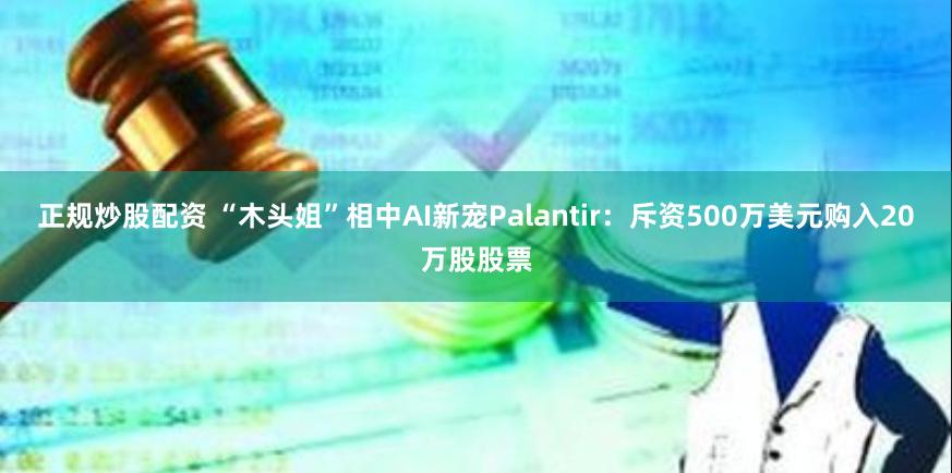 正规炒股配资 “木头姐”相中AI新宠Palantir：斥资500万美元购入20万股股票