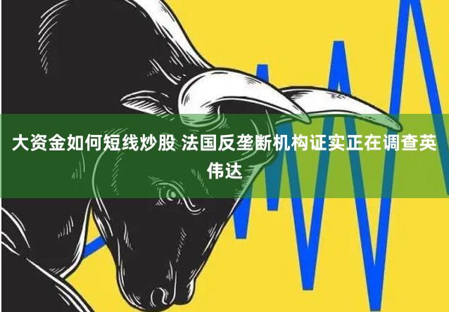 大资金如何短线炒股 法国反垄断机构证实正在调查英伟达