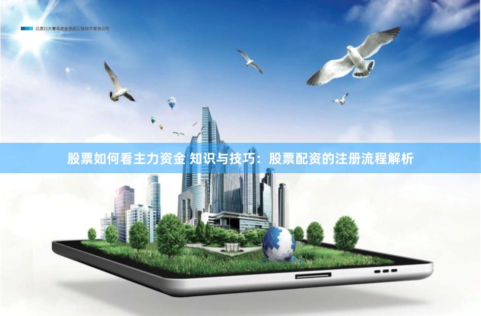 股票如何看主力资金 知识与技巧：股票配资的注册流程解析