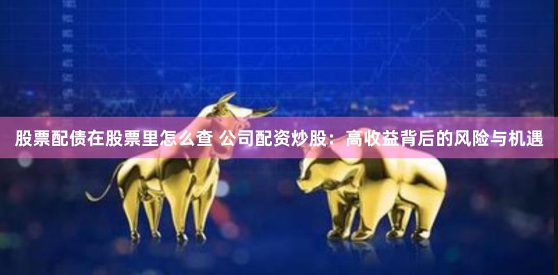 股票配债在股票里怎么查 公司配资炒股：高收益背后的风险与机遇