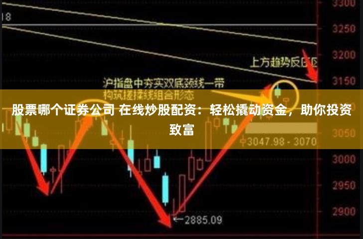 股票哪个证券公司 在线炒股配资：轻松撬动资金，助你投资致富